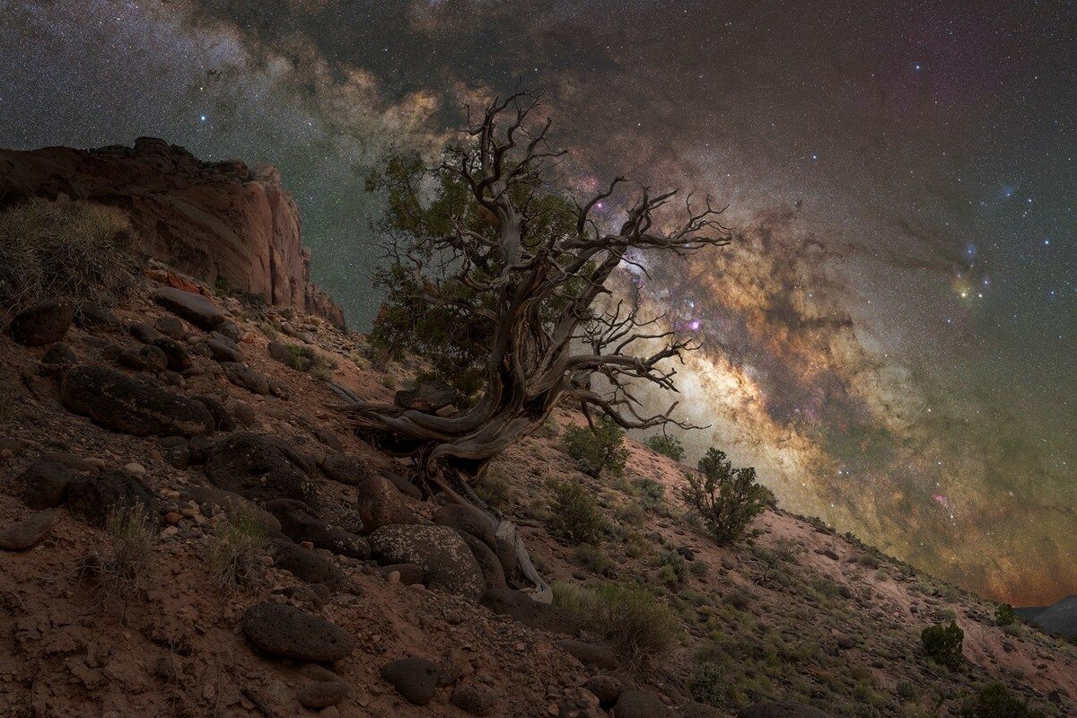 Swap Zion NP for Cedar Breaks NP, Kodachrome Basin State Park or Capitol Reef NP (Utah)